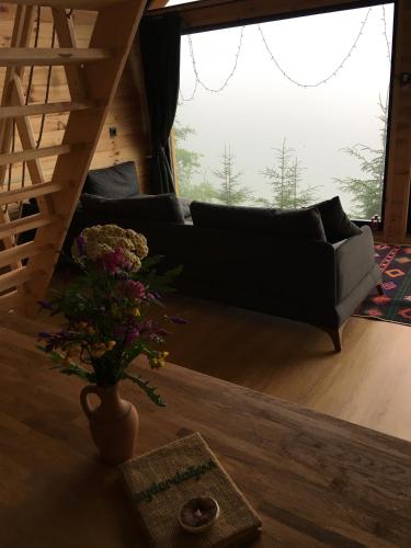 Ruang duduk di Ayder Dağ Evi
