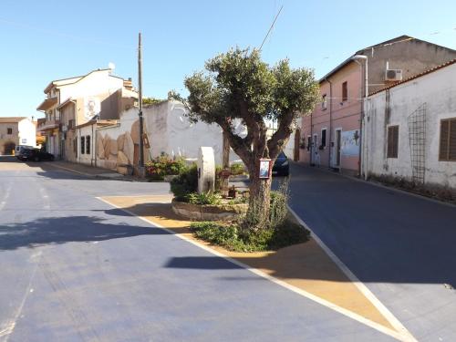 a street with a tree on the side of a road at Hotel Sagittario in San Sperate
