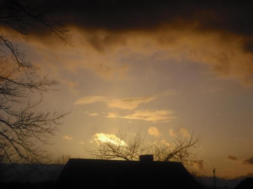 a cloudy sky with the sun behind a tree at Gästehaus Strandkonsulat in Scharbeutz