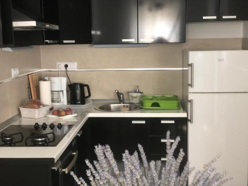 a small kitchen with a sink and a refrigerator at Casa di Lavanda in Hvar