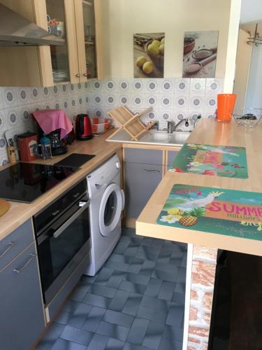 une cuisine avec un évier et une machine à laver dans l'établissement Studio standing Nice, à Nice