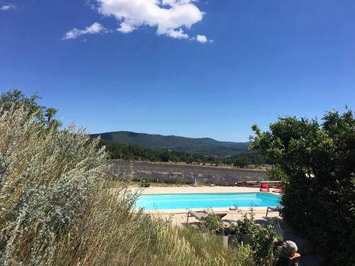 une piscine dans un champ d'herbe haute dans l'établissement Le Jas du Mont Ventoux, à Sault