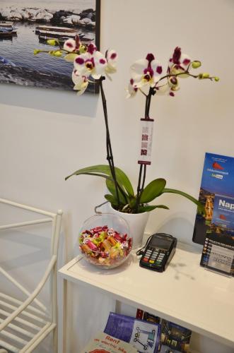 Fotografie z fotogalerie ubytování Mellos B&B v Neapoli