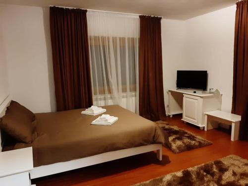 a bedroom with a large bed and a television at Vila Confort in Borşa