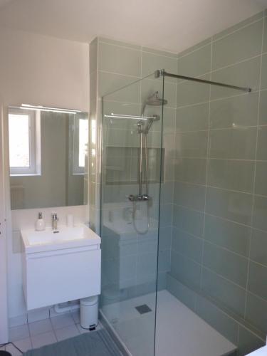 a bathroom with a glass shower and a sink at Appartement cosy à 10 minutes de Chambord in Mer