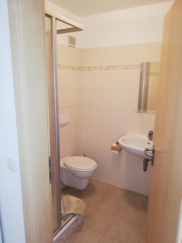 a bathroom with a toilet and a sink at Pension am Pferdemarkt in Güstrow