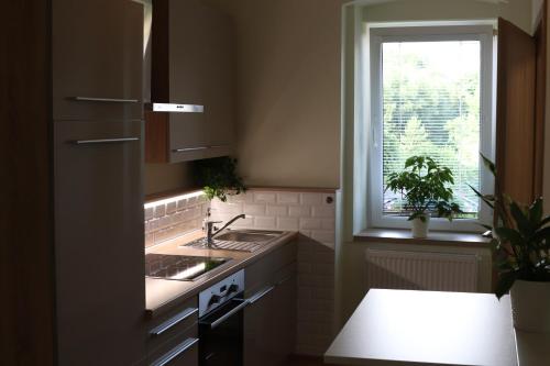 a kitchen with a sink and a window at SLO. Apartments in Bakov nad Jizerou