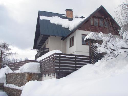 dom ze śniegiem na dachu w obiekcie APARTMÁN BERAN w Rokitnicach nad Izerą