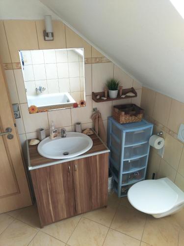 BučoviceにあるChalupaの洗面台とトイレ付きのバスルーム