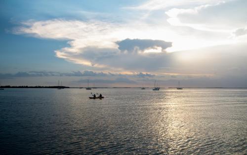 a group of people in a boat in the water at Bayside Inn Key Largo in Key Largo