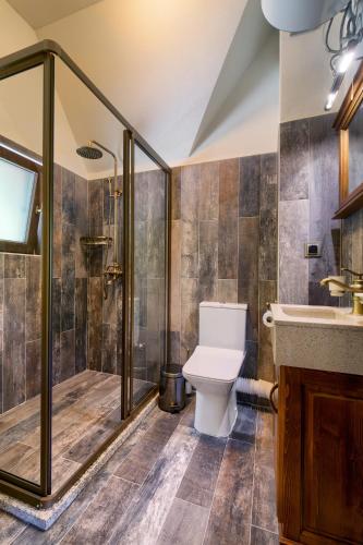 a bathroom with a toilet and a shower and a sink at Hotel Apostolite in Sandanski