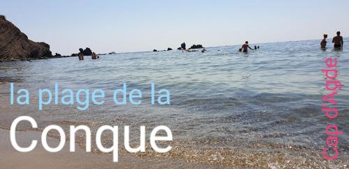 Résidence de standing la Pêcherie Spacieux T3 comme un cocon familial vue mer et sur l'avant port Sur le bout du bout de Cap d'Agde seule cap en Occitanie photo 56