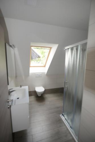 a bathroom with a shower and a sink and a toilet at Apartmaji Pekovec Bohinj in Bohinj