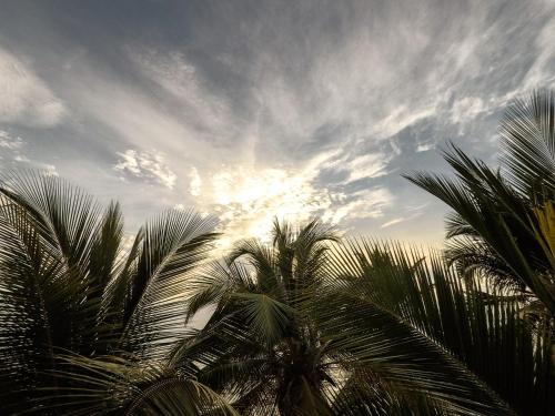 a group of palm trees under a cloudy sky at Hotel Rilux Tolu in Tolú
