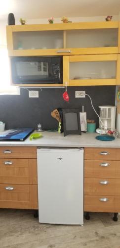 La cuisine est équipée d'un réfrigérateur blanc et d'un four micro-ondes. dans l'établissement studio 2, à Saint-Martin-la-Plaine