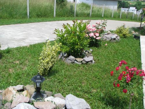 Taman di luar Pensiunea Neredy