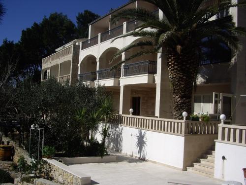 a building with a palm tree in front of it at Villa Petra in Brela