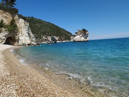Φυσικό τοπίο κοντά σε αυτή η παραθεριστική κατοικία