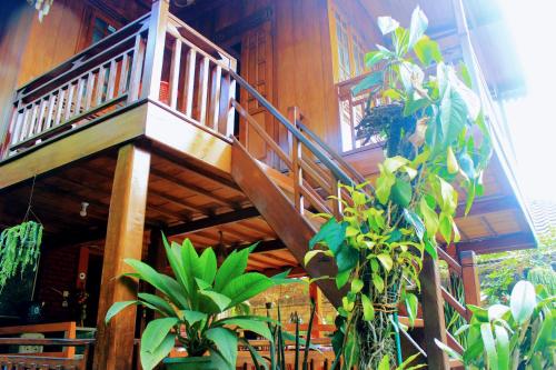 eine Holztreppe in einem Haus mit Pflanzen in der Unterkunft Oemah Kajoe Lembang in Lembang