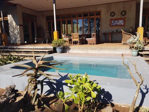 a swimming pool with plants in a yard at Chumbi Bush House in Hluhluwe