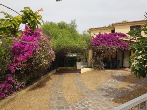 Gallery image of Villa Dettori in San Teodoro