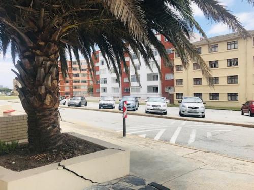 a palm tree on the side of a city street at Modern rooms available close to the beach in Humewood in Port Elizabeth