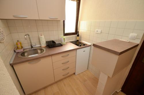 een kleine keuken met een wastafel en een aanrecht bij APARTMENTS NIK KOTOR in Kotor