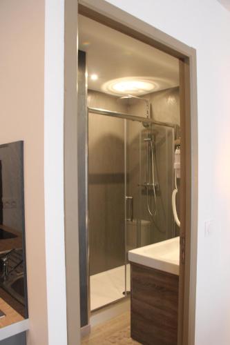 a bathroom with a shower and a sink at LOGIS DU GRAND PIN in Saint-Martin-des-Entrées
