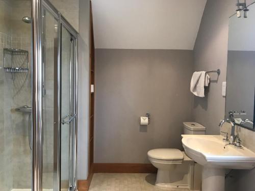 a bathroom with a toilet and a sink and a shower at Strand House in Portstewart