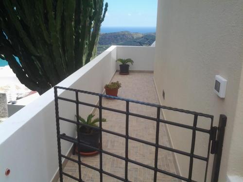 a stairway with potted plants on the side of a building at Dammuso La Stella del Lago in Pantelleria