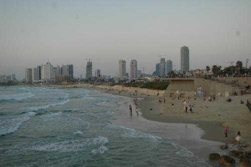 Loft in TLV – Photos 3