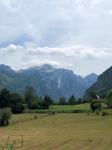 a field of grass with mountains in the background at Molla Guest House in Theth