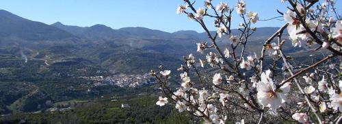 صورة لـ Casa Mosaico Granada en el V de Lecrin في Nigüelas
