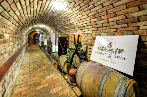 a tunnel with wine barrels in a brick wall at Privat Bohemia in Šatov