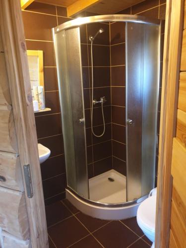 a shower with a glass door in a bathroom at Domki nad Sanem in Lesko