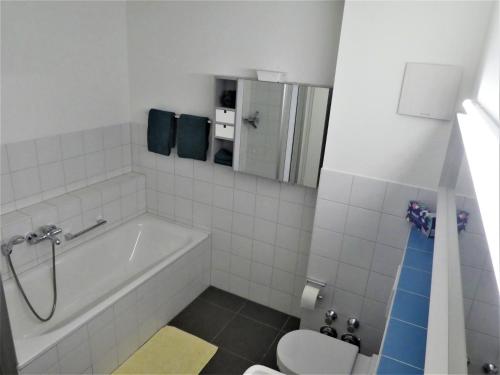Un baño de Baselblick