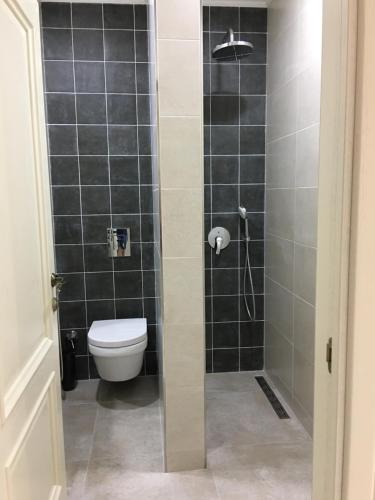 a bathroom with a toilet and a shower at Moonlight Hotel in Chişinău