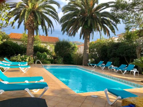 - une piscine avec des chaises bleues et des palmiers dans l'établissement 23 Rue Romain Rolland Appartement, à Collioure