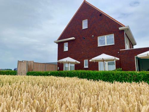 a red brick house with white windows and a field of wheat at Groede B&B in Groede