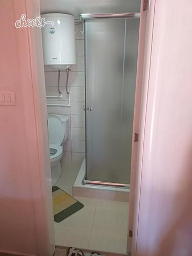 La salle de bains est pourvue de toilettes et d'une porte de douche en verre. dans l'établissement Nikitovic house, à Žabljak
