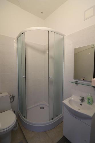 a bathroom with a shower and a toilet and a sink at Guesthouse Veles in Slovenska Bistrica