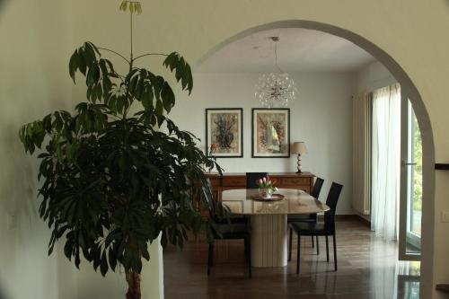 una sala da pranzo con tavolo e pianta in vaso di Casa Creavita a Cademario