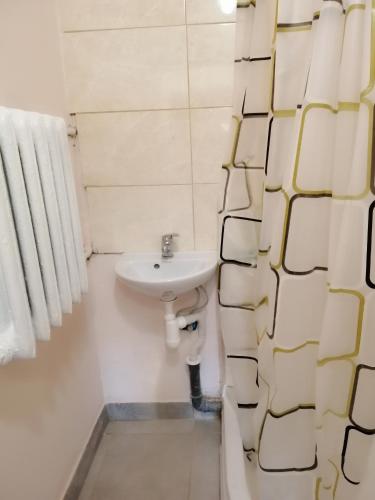 a bathroom with a sink and a shower curtain at ВВ-ХОСТЕЛ in Kyiv