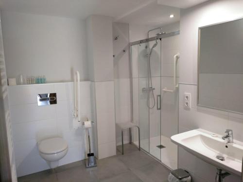 een badkamer met een douche, een toilet en een wastafel bij Apartamentos Viña Olivan in Sarvisé