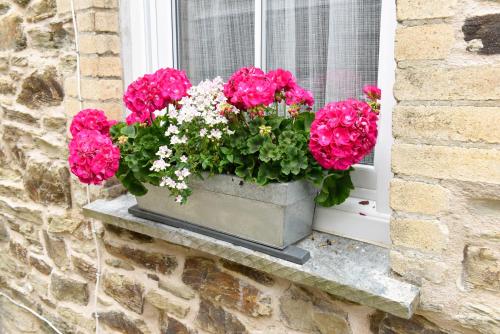 a window box with pink flowers on a window sill at Cliftons Guest House in Truro