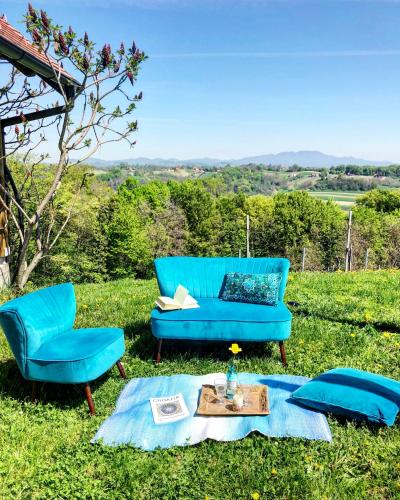 a blue couch and two chairs in the grass at Villa Botanica in Mirkovec