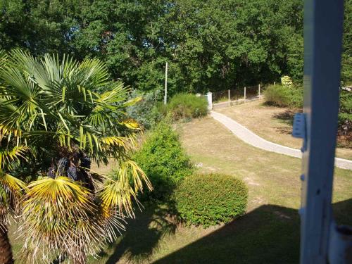 a garden with a palm tree and a path at LE CHEMINARD in Feugarolles