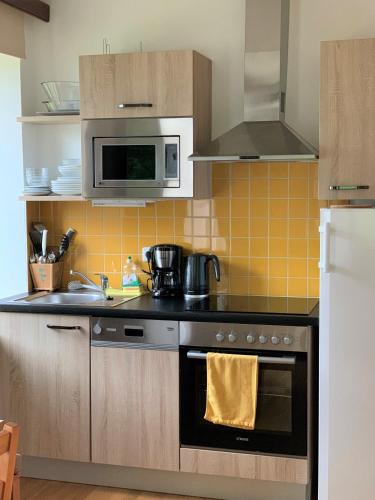 a kitchen with a stove and a microwave at Der Ulmenhof in Gosau