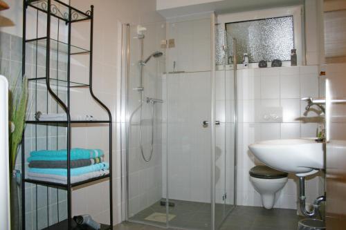 a bathroom with a shower and a toilet and a sink at Ferienwohnung Klötsch in Katzwinkel