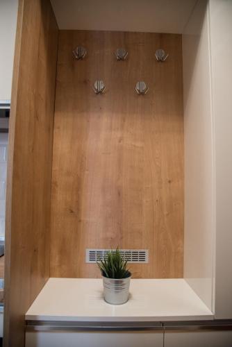バチュカ・パランカにあるRoyal Apartmentの鉢植え